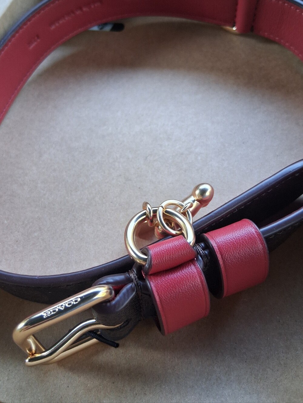 Coach Dog Collar - Picture 3 of 16